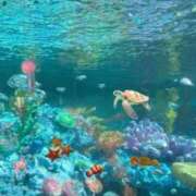 ヒメ日記 2025/02/21 18:14 投稿 のどか プールサイド新橋店