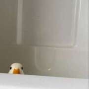 ヒメ日記 2025/02/27 18:04 投稿 のどか プールサイド新橋店