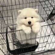 ヒメ日記 2025/03/13 20:11 投稿 のどか プールサイド新橋店