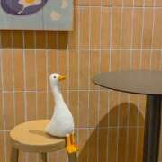 ヒメ日記 2025/03/15 05:02 投稿 のどか プールサイド新橋店