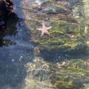 ヒメ日記 2025/03/15 20:09 投稿 のどか プールサイド新橋店