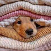 ヒメ日記 2025/03/17 17:46 投稿 のどか プールサイド新橋店