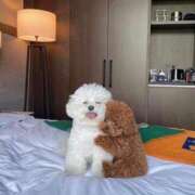 ヒメ日記 2025/03/18 00:12 投稿 のどか プールサイド新橋店