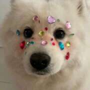 ヒメ日記 2025/03/20 18:36 投稿 のどか プールサイド新橋店