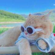 ヒメ日記 2025/04/12 05:00 投稿 のどか プールサイド新橋店