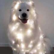 ヒメ日記 2025/04/19 18:02 投稿 のどか プールサイド新橋店