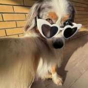 ヒメ日記 2025/04/22 18:27 投稿 のどか プールサイド新橋店