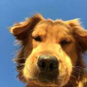 ヒメ日記 2025/04/23 20:15 投稿 のどか プールサイド新橋店