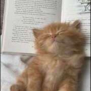 ヒメ日記 2025/04/24 05:14 投稿 のどか プールサイド新橋店