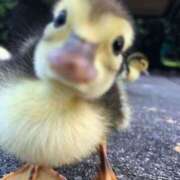 ヒメ日記 2025/04/30 18:16 投稿 のどか プールサイド新橋店