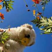 ヒメ日記 2025/05/01 05:00 投稿 のどか プールサイド新橋店