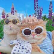 のどか 本日出勤です♡ プールサイド新橋店