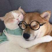 ヒメ日記 2026/02/26 15:14 投稿 のどか プールサイド新橋店