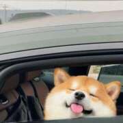 のどか スタート❢ プールサイド新橋店