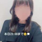 ヒメ日記 2025/05/25 12:41 投稿 はな 素人巨乳ちゃんこ「東千葉店」