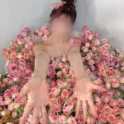 ヒメ日記 2025/01/02 08:34 投稿 クロエ/Chloe 英國屋（金津園）