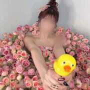 ヒメ日記 2025/02/02 09:54 投稿 クロエ/Chloe 英國屋（金津園）