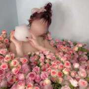 ヒメ日記 2026/03/27 09:44 投稿 クロエ/Chloe 英國屋（金津園）