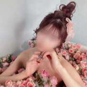 ヒメ日記 2026/04/05 09:24 投稿 クロエ/Chloe 英國屋（金津園）