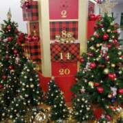 ヒメ日記 2024/12/15 23:39 投稿 ひみこ 奥鉄オクテツ大阪