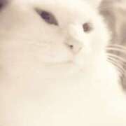 ヒメ日記 2024/12/28 23:32 投稿 ひみこ 奥鉄オクテツ大阪