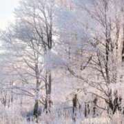 ヒメ日記 2025/02/19 23:05 投稿 ひみこ 奥鉄オクテツ大阪