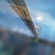 ヒメ日記 2025/03/03 18:20 投稿 ひみこ 奥鉄オクテツ大阪