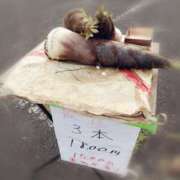 ヒメ日記 2025/05/04 20:54 投稿 ひみこ 奥鉄オクテツ大阪