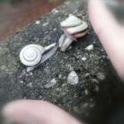 ヒメ日記 2025/06/11 23:26 投稿 ひみこ 奥鉄オクテツ大阪