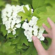 ヒメ日記 2025/06/24 18:19 投稿 ひみこ 奥鉄オクテツ大阪