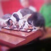 ヒメ日記 2025/06/25 23:58 投稿 ひみこ 奥鉄オクテツ大阪