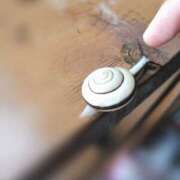 ヒメ日記 2025/07/17 16:19 投稿 ひみこ 奥鉄オクテツ大阪