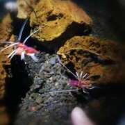 ヒメ日記 2025/10/25 22:54 投稿 ひみこ 奥鉄オクテツ大阪