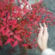 ヒメ日記 2026/01/01 20:33 投稿 ひみこ 奥鉄オクテツ大阪