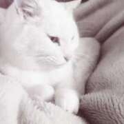 ヒメ日記 2026/01/26 23:18 投稿 ひみこ 奥鉄オクテツ大阪