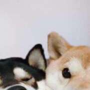 ヒメ日記 2025/01/28 05:13 投稿 こつぶ One More 奥様　錦糸町店