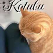 ヒメ日記 2025/04/04 16:23 投稿 こつぶ One More 奥様　錦糸町店