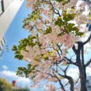 ヒメ日記 2025/04/07 19:03 投稿 こつぶ One More 奥様　錦糸町店