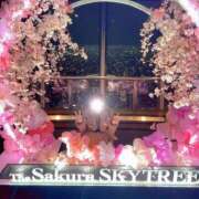 ヒメ日記 2025/04/18 20:03 投稿 こつぶ One More 奥様　錦糸町店