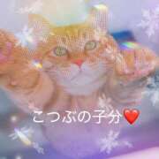 ヒメ日記 2025/04/23 12:28 投稿 こつぶ One More 奥様　錦糸町店