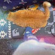 ヒメ日記 2025/05/02 13:13 投稿 こつぶ One More 奥様　錦糸町店