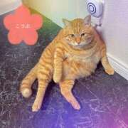 ヒメ日記 2025/05/03 09:44 投稿 こつぶ One More 奥様　錦糸町店