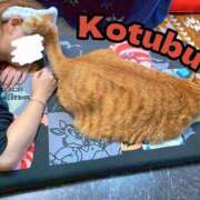 ヒメ日記 2025/05/13 20:23 投稿 こつぶ One More 奥様　錦糸町店