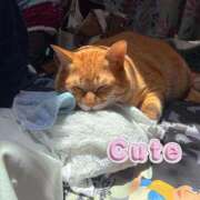 ヒメ日記 2025/07/12 19:43 投稿 こつぶ One More 奥様　錦糸町店