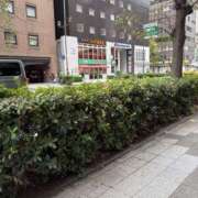 れな 向かってます！ 夜這い本舗