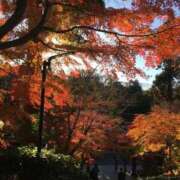 ヒメ日記 2025/10/23 09:03 投稿 はるか 熟女の風俗最終章 新潟店