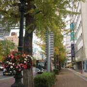 ヒメ日記 2025/11/23 11:33 投稿 はるか 熟女の風俗最終章 新潟店