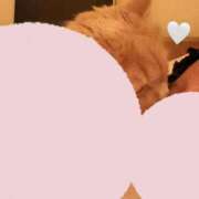 ヒメ日記 2025/03/14 00:58 投稿 こいろ フォーシーズン