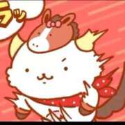 ヒメ日記 2026/01/01 02:08 投稿 こいろ フォーシーズン