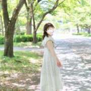 ヒメ日記 2024/07/30 09:05 投稿 Meru/める STYLISH BACH